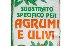 dla-sale-terriccio-universale-agrumi-olivi-50