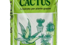 dla-sale-terriccio-universale-cactus-10
